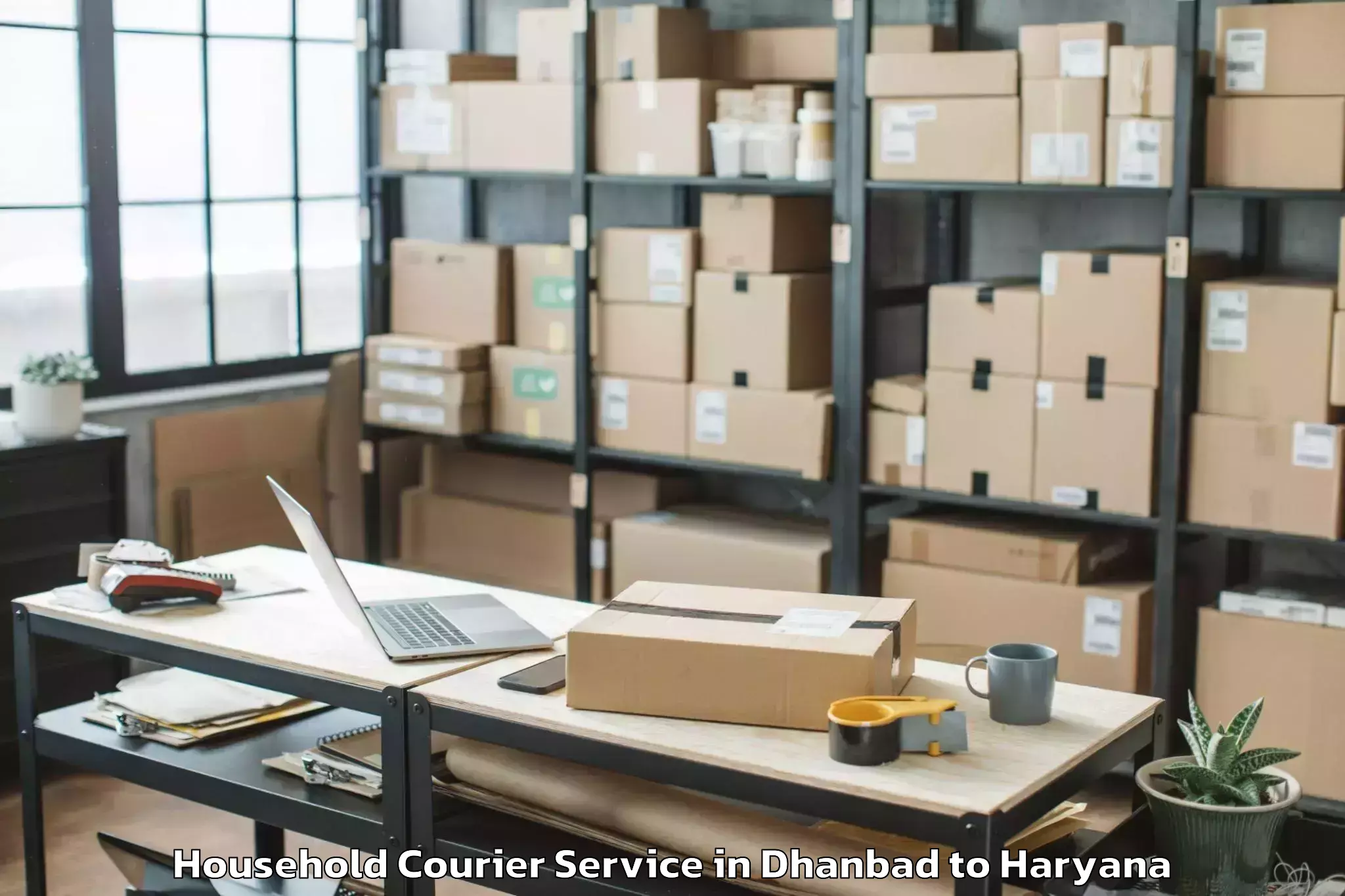 Quality Dhanbad to Central Plaza Mall Gurgaon Household Courier